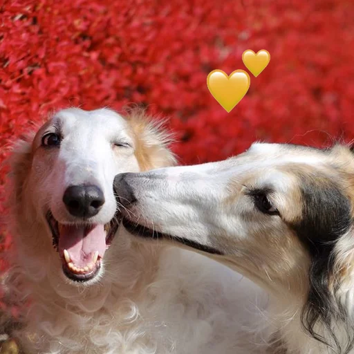 🥰 Стикер «longnose style» для Telegram
