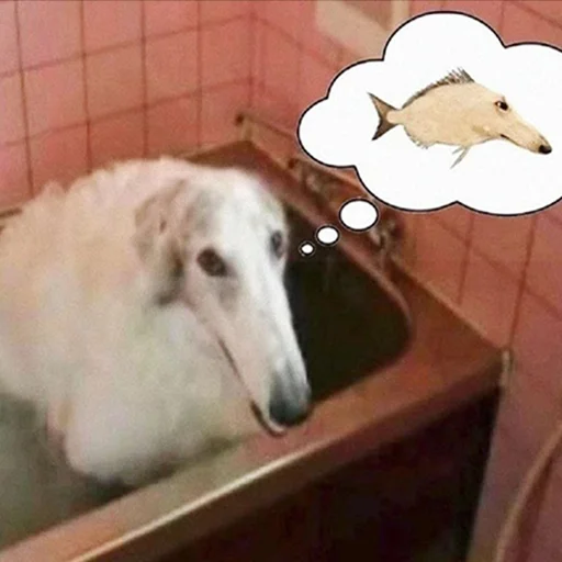 🐔 Стикер «longnose style» для Telegram