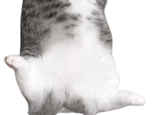 🐈 Стикер «Long Komaru» для Telegram