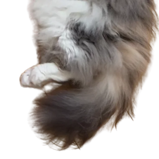 😺 Стикер «Long Komaru» для Telegram