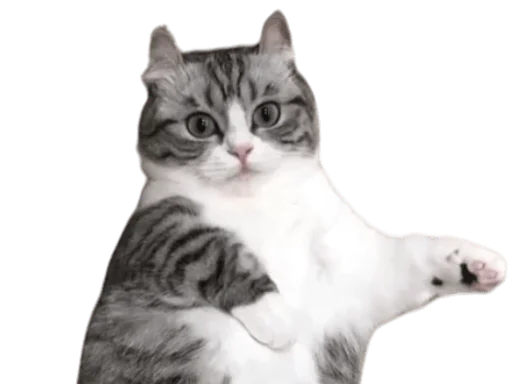 🐈 Стикер «Long Komaru» для Telegram
