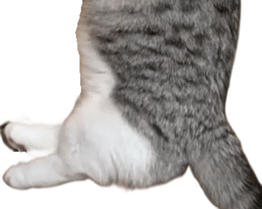 🐈 Стикер «Long Komaru» для Telegram
