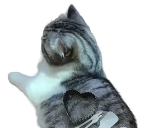 🐈 Стикер «Long Komaru» для Telegram
