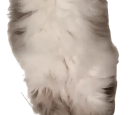 🐈 Стикер «Long Komaru» для Telegram