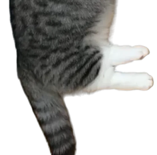 🐈 Стикер «Long Komaru» для Telegram