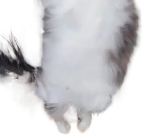 🐈 Стикер «Long Komaru» для Telegram