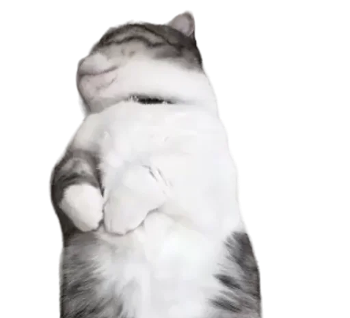 🐈 Стикер «Long Komaru» для Telegram