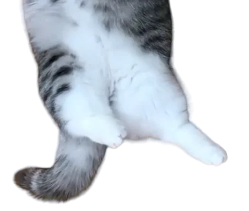 🐈 Стикер «Long Komaru» для Telegram