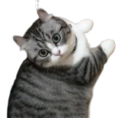 🐈 Стикер «Long Komaru» для Telegram