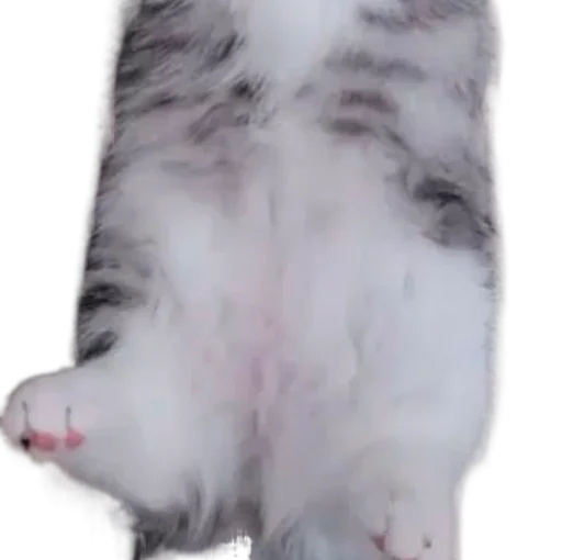 🐈 Стикер «Long Komaru» для Telegram