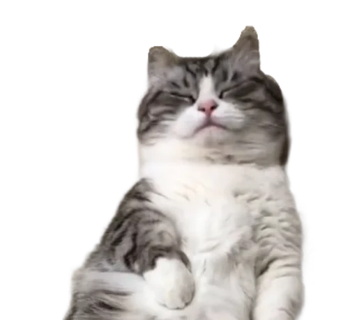 🐈 Стикер «Long Komaru» для Telegram