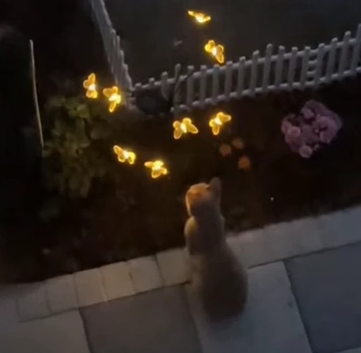 😍 Стикер «Looonly cats» для Telegram