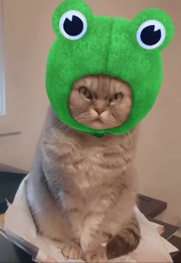 🤬 Стикер «Looonly cats» для Telegram