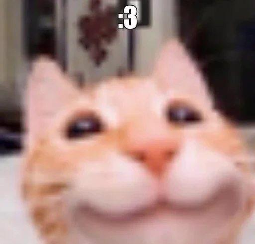 😊 Стикер «Cats memes» для Telegram