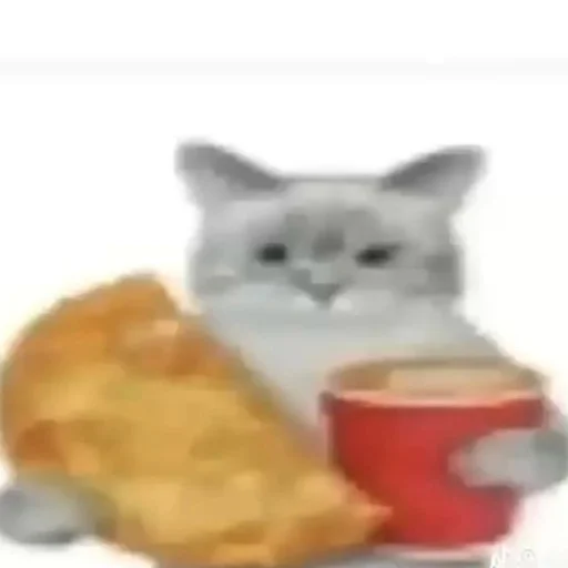 😊 Стикер «Cats memes» для Telegram
