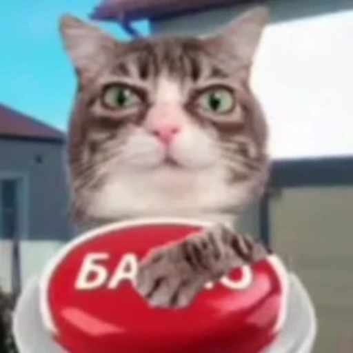 🤑 Стикер «Cats memes» для Telegram