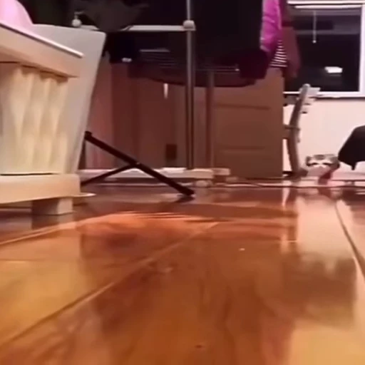 😳 Стикер «Cats memes» для Telegram