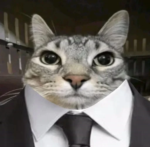😶 Стикер «Cats memes» для Telegram
