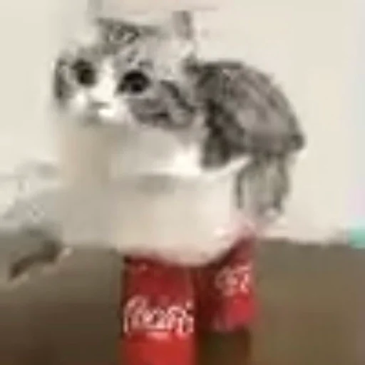 😶 Стикер «Cats memes» для Telegram