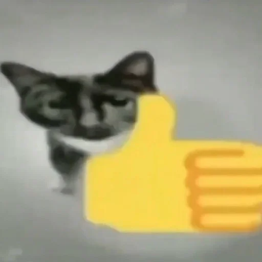 👍 Стикер «Cats memes» для Telegram