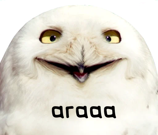 😄 Стикер «bird memes» для Telegram