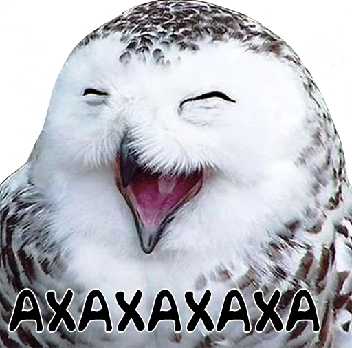 😂 Стикер «bird memes» для Telegram