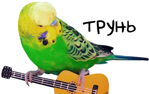 😢 Стикер «bird memes» для Telegram