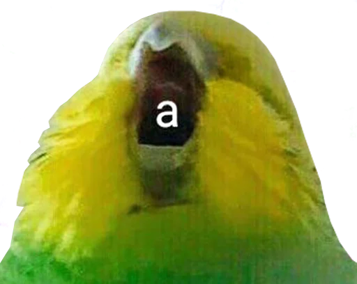 😤 Стикер «bird memes» для Telegram
