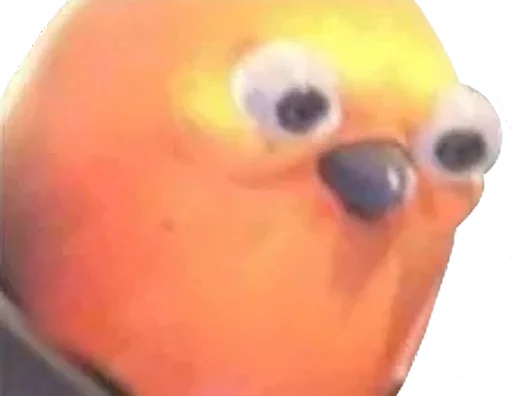 😡 Стикер «bird memes» для Telegram
