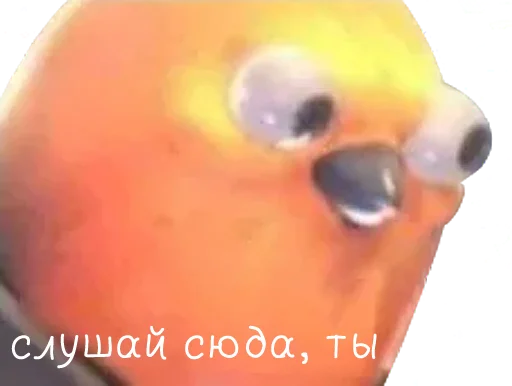 😡 Стикер «bird memes» для Telegram