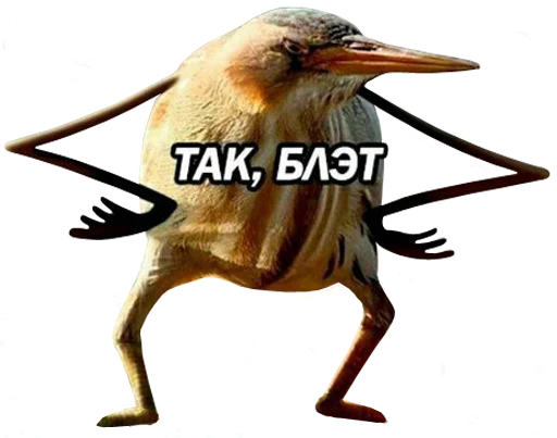 😠 Стикер «bird memes» для Telegram