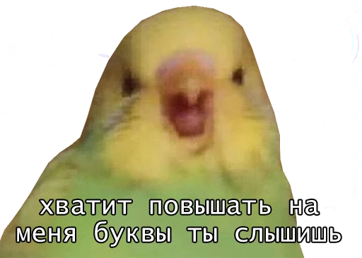 😤 Стикер «bird memes» для Telegram