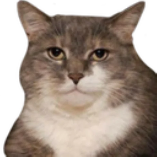 😾 Стикер «Смайлы discord.gg/lorule» для Telegram