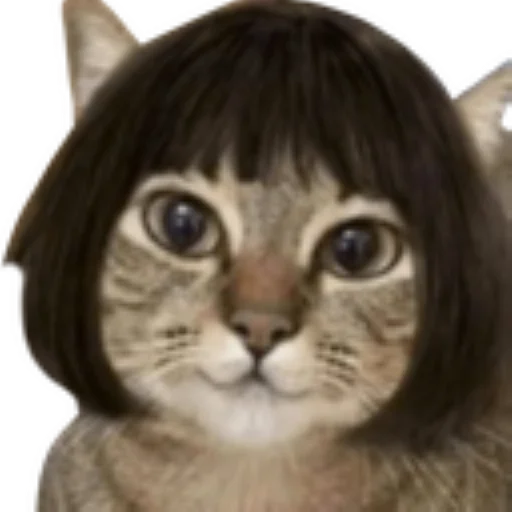 😼 Стикер «Смайлы discord.gg/lorule» для Telegram