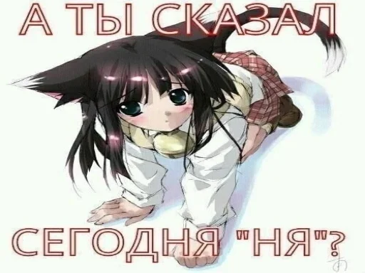 🥺 Стикер «Няшечки» для Telegram