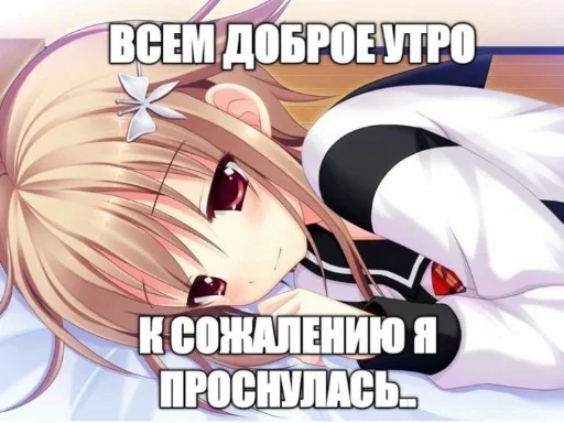 ☀ Стикер «Няшечки» для Telegram