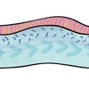 🐟 Эмодзи «Sea» для Telegram