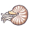 🐚 Эмодзи «Sea» для Telegram