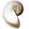 Стикер 33 Ideology
