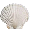 Стикер 10 Ideology