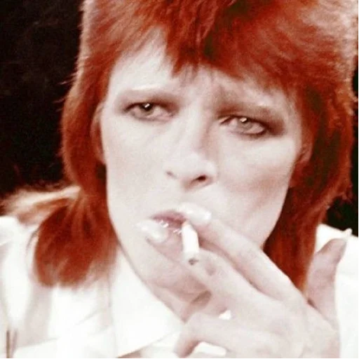 🚬 Стикер «Love david bowie» для Telegram