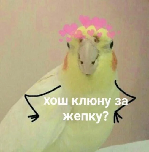 ❤️ Стикер «ProvinsiaAlkashki» для Telegram