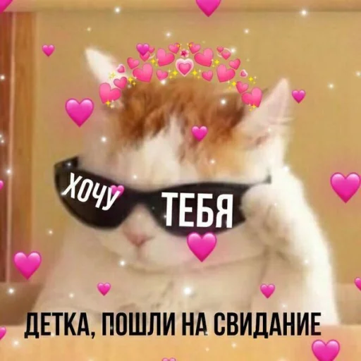 ❤️ Стикер «ProvinsiaAlkashki» для Telegram