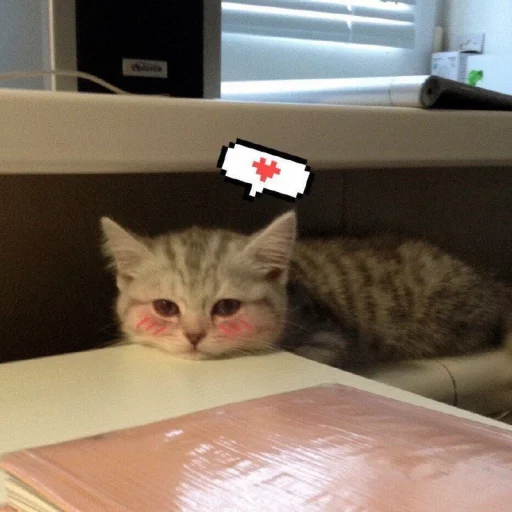 ❤️ Стикер «ProvinsiaAlkashki» для Telegram