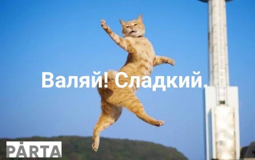 ❤️ Стикер «ProvinsiaAlkashki» для Telegram