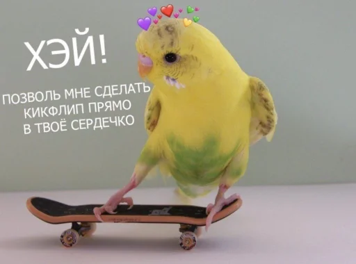 ❤️ Стикер «ProvinsiaAlkashki» для Telegram