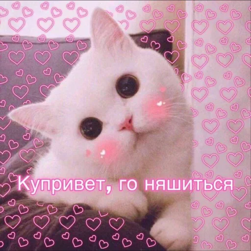 ❤️ Стикер «ProvinsiaAlkashki» для Telegram