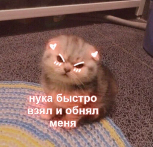 ❤️ Стикер «ProvinsiaAlkashki» для Telegram