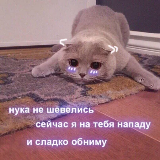 ❤️ Стикер «ProvinsiaAlkashki» для Telegram