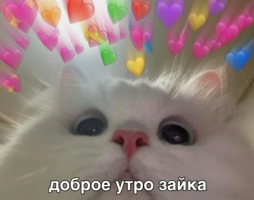 ❤️ Стикер «ProvinsiaAlkashki» для Telegram